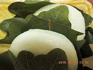 DSCN1779.JPG