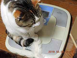 DSCN1793.JPG