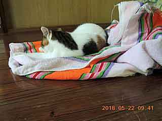DSCN1895.JPG