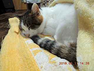 DSCN2044.JPG