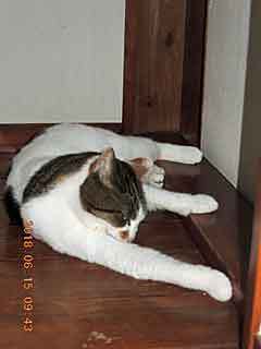 DSCN2069.JPG