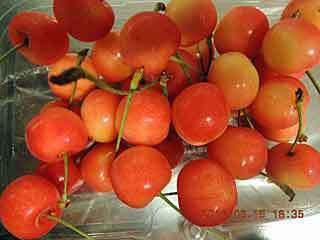 DSCN2071.JPG