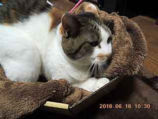 DSCN2094.JPG