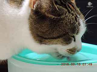DSCN2098.JPG