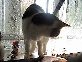 DSCN2120.JPG
