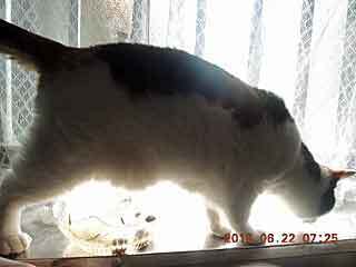 DSCN2121.JPG