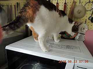 DSCN2123.JPG