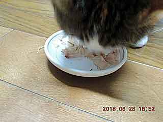 DSCN2148.JPG