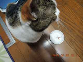 DSCN2149.JPG