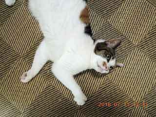 DSCN2254.JPG