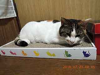 DSCN2317.JPG