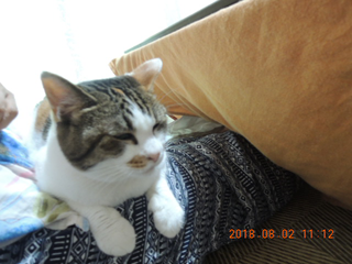 DSCN2355.png