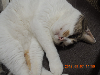 DSCN2367.png