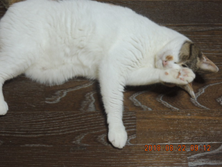 DSCN2398.png