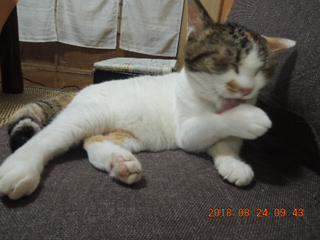 DSCN2404.png