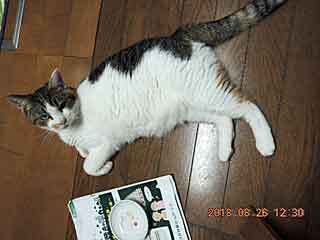 DSCN2407.JPG