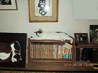 DSCN2417.JPG
