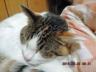 DSCN2434.JPG