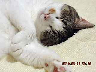 DSCN2470.JPG