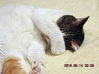 DSCN2471.JPG