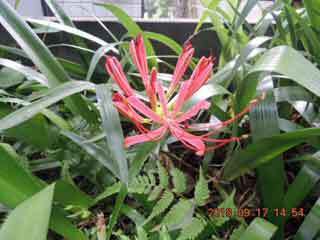 DSCN2482.JPG