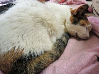 DSCN3744.jpg