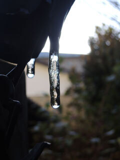 DSCN7237.jpg