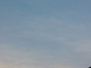 DSCN7292.jpg
