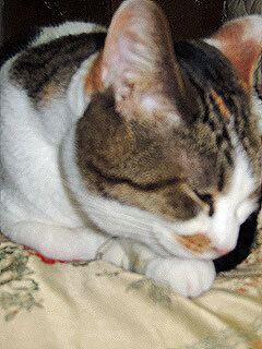 DSCN7295.jpg