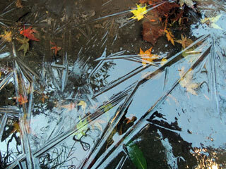 DSCN7306.jpg