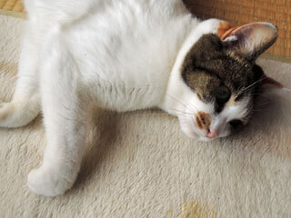 DSCN7311.jpg