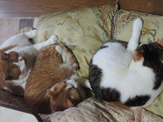 DSCN7407.jpg