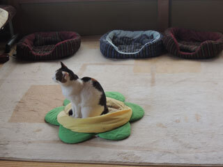 DSCN7524.jpg