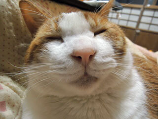 DSCN7534.jpg