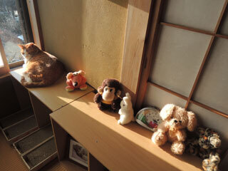 DSCN7549.jpg