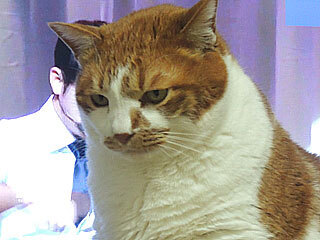 DSCN7648.jpg