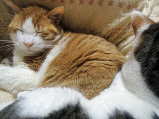 DSCN7738.jpg