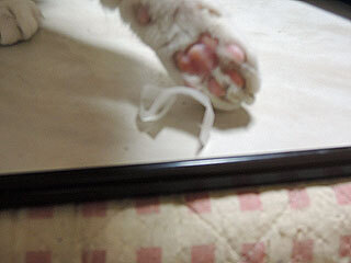 DSCN7750.jpg