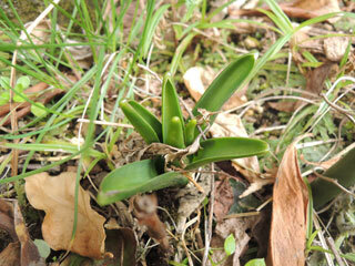 DSCN7759.jpg