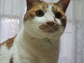 DSCN7885.jpg
