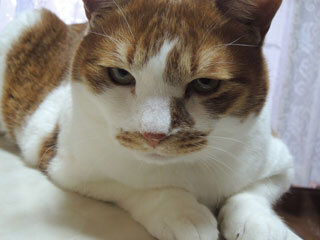 DSCN7886.jpg