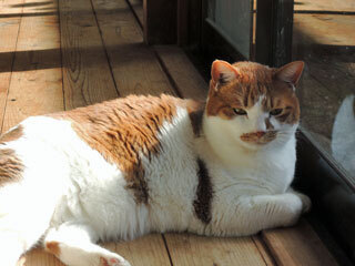 DSCN7887.jpg