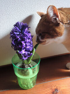 DSCN8027.jpg