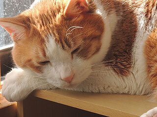 DSCN8116.jpg