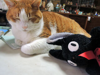 DSCN8123.jpg