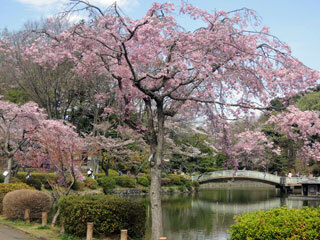 DSCN8228.jpg