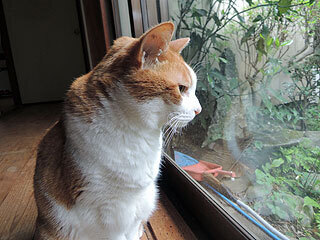 DSCN8350.jpg