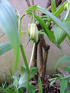 DSCN8355.jpg