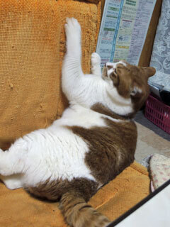 DSCN8379.jpg