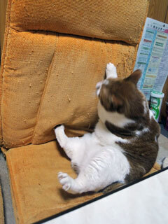 DSCN8383.jpg